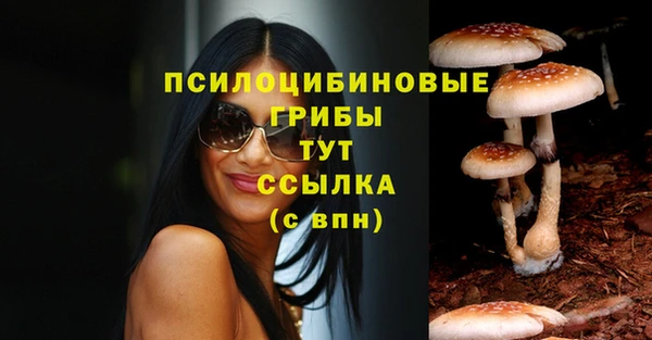 spice Верхний Тагил