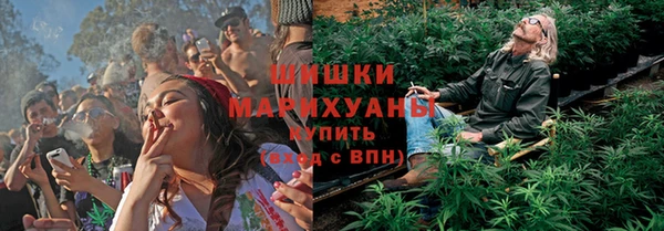spice Верхний Тагил